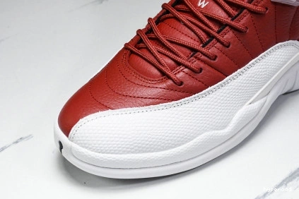 Hyperoad Jordan 12 Air 